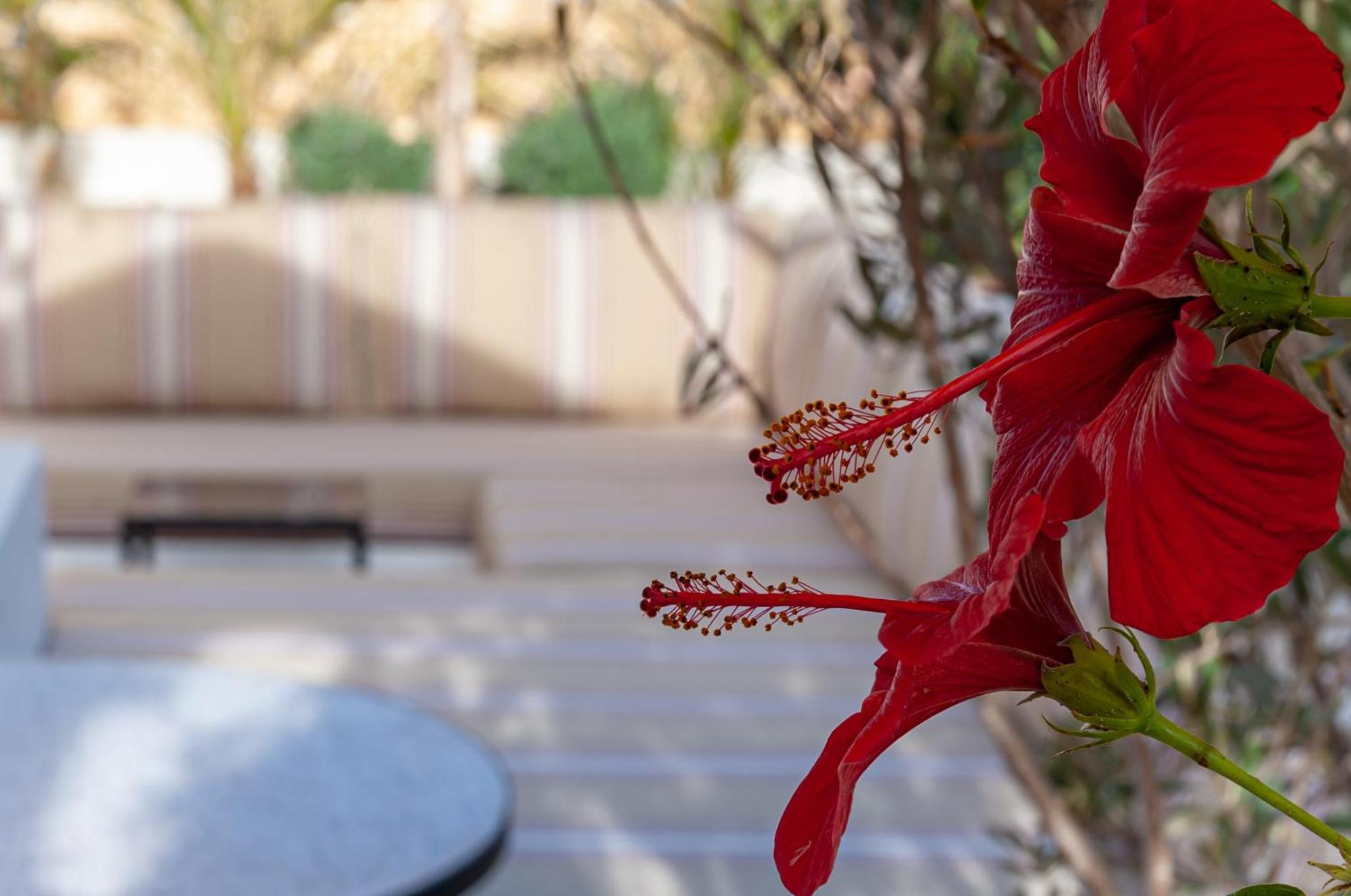 Riad K-White Marrakesh Ngoại thất bức ảnh